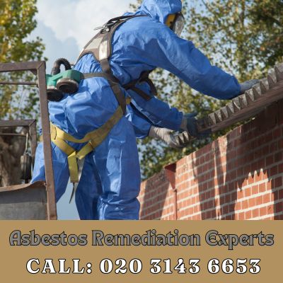 Asbestos Remediation Experts Fleet Street