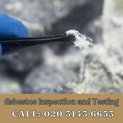 Comprehensive Asbestos Inspection and Testing Services in Fleet Street